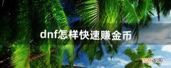 dnf怎样快速赚金币（dnf哪里赚的金币多)