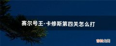 赛尔号王·卡修斯第四关怎么打（赛尔号王卡修斯全面分析)