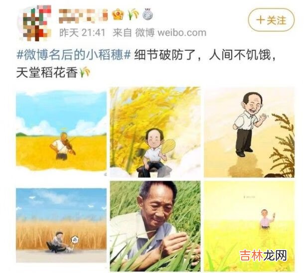 微博名字后面的稻子标志怎么弄