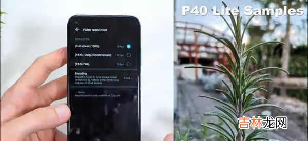 华为p40lite和p40区别