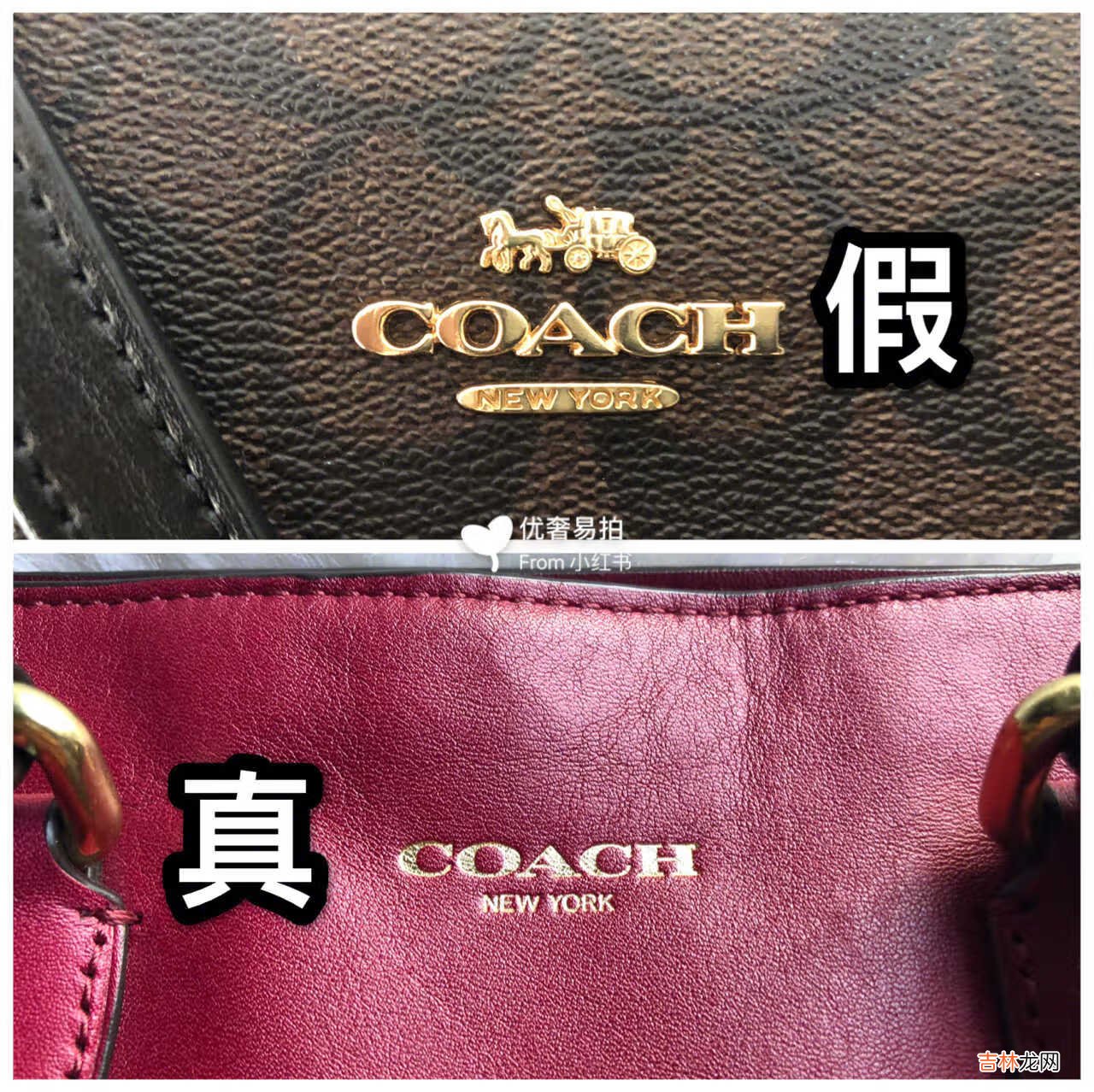 干货分享：coach蔻驰鉴定真假辨别方法！