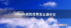 steam战机世界怎么调中文（战机世界steam中文补丁)