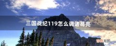 三国战纪119怎么调诸葛亮