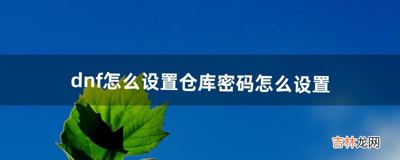 dnf怎么设置仓库密码怎么设置（dnf仓库锁密码怎么设置)