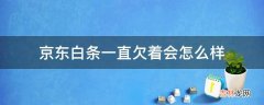 京东白条一直欠着会怎么样?