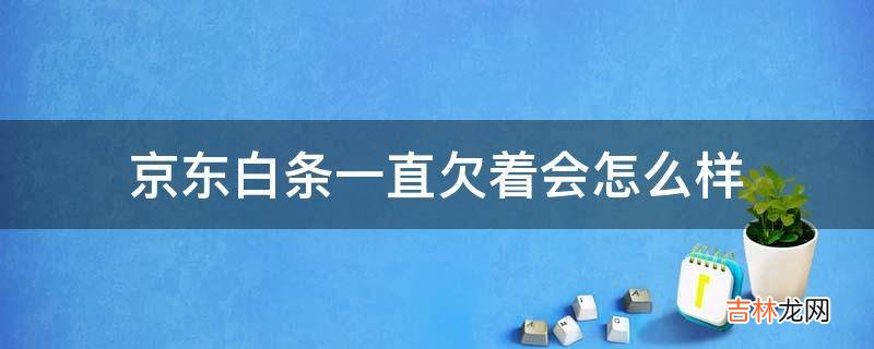 京东白条一直欠着会怎么样?