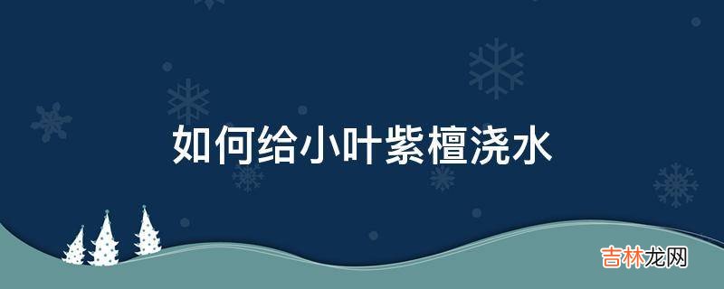 如何给小叶紫檀浇水?