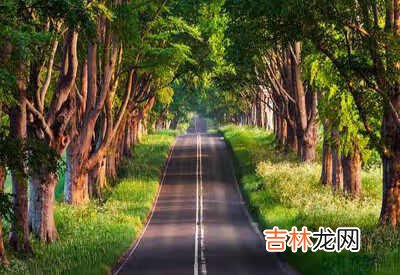 国产三轮摩托车排名前十名