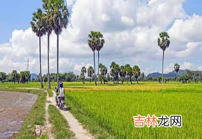 国产三轮摩托车排名前十名