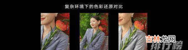 荣耀magic3和苹果12哪个好