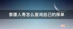 泰康人寿怎么查询自己的保单?