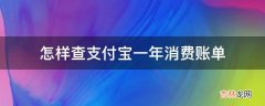 怎样查支付宝一年消费账单?