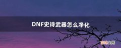 DNF史诗武器怎么净化（dnf如何净化武器)