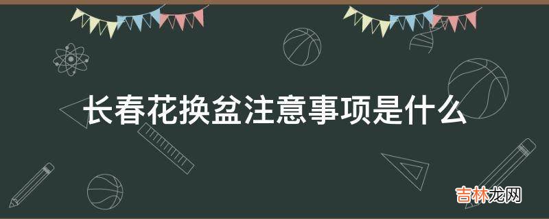 长春花换盆注意事项是什么?