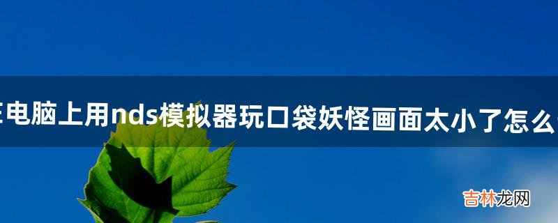 在电脑上用nds模拟器玩口袋妖怪画面太小了怎么调