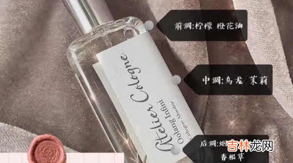 欧珑无极乌龙香评
