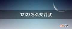 12123怎么交罚款?