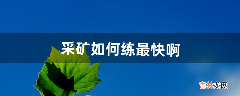 采矿如何练最快啊(盗贼采矿1-350最快冲法)