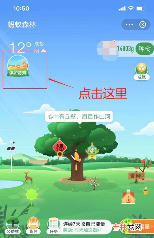 支付宝蚂蚁森林保护黄河玩法介绍