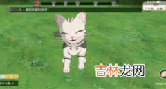 小森生活猫毛球获取方法介绍