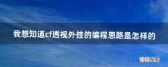 我想知道cf透视外挂的编程思路是怎样的（cf自瞄外挂杀敌瞬间)