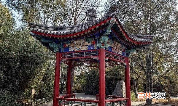 荣耀v40和小米11哪个好