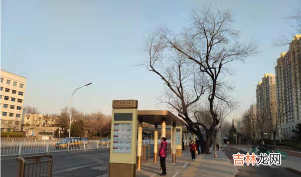 荣耀v40和小米11哪个好