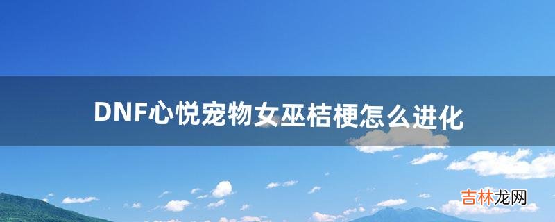 DNF心悦宠物女巫桔梗怎么进化(dnf心悦宠物展示)