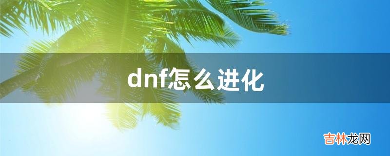 dnf怎么进化（dnf宠物伊尔本进化的样子)