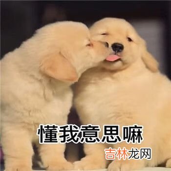 抖音几天没见我馋你了表情包大全