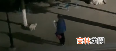 抖音做一只有礼貌的猫意思介绍