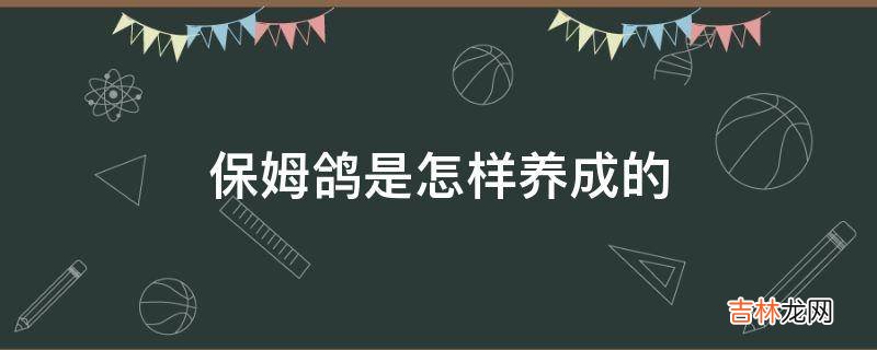 保姆鸽是怎样养成的?