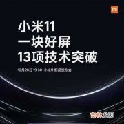 小米11屏幕分辨率是多少