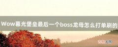 Wow暮光堡垒最后一个boss龙母怎么打单刷的