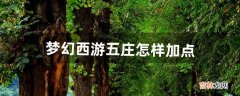 梦幻西游五庄怎样加点（梦幻单开五庄加点)