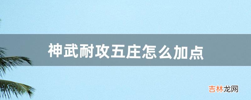 神武耐攻五庄怎么加点（神武4平民五庄怎么玩)