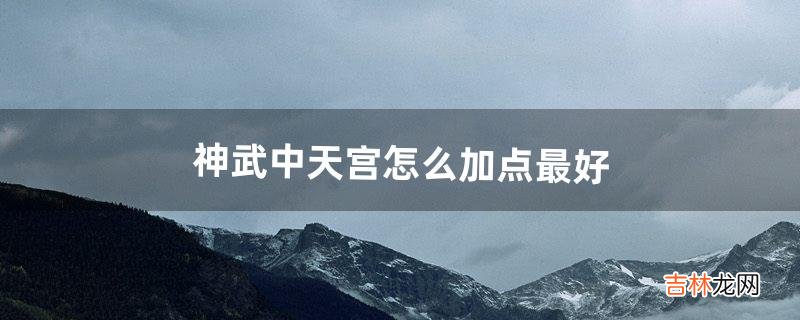 神武中天宫怎么加点最好(神武天宫最全详细攻略)