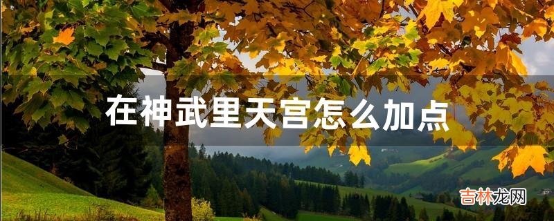 在神武里天宫怎么加点（神武天宫小孩怎么加点)