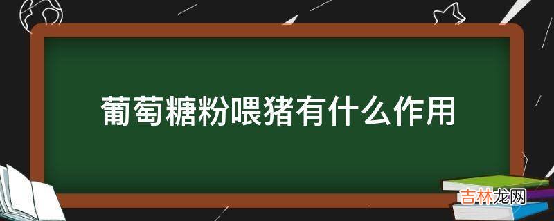 葡萄糖粉喂猪有什么作用?