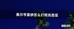 赛尔号雷伊怎么打阿克西亚（阿克希亚怎么打败雷伊)