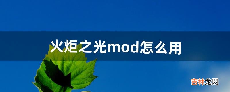 火炬之光mod怎么用（火炬之光mod使用方法)