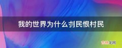 我的世界为什么刌民恨村民?