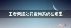 王者荣耀处罚查询系统在哪里?