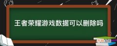 王者荣耀游戏数据可以删除吗?