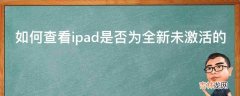 如何查看ipad是否为全新未激活的?