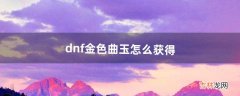 dnf金色曲玉怎么获得（dnf金色曲玉一天能得几个)