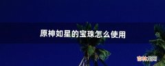 原神如星的宝珠怎么使用（原神如星的宝珠全收集和后续攻略)