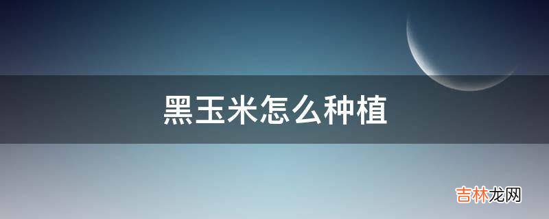 黑玉米怎么种植?