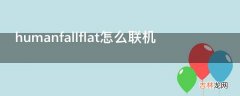 humanfallflat怎么联机?