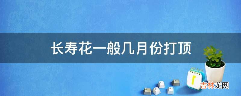 长寿花一般几月份打顶?